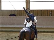 voltitag 2009 _CD1 138